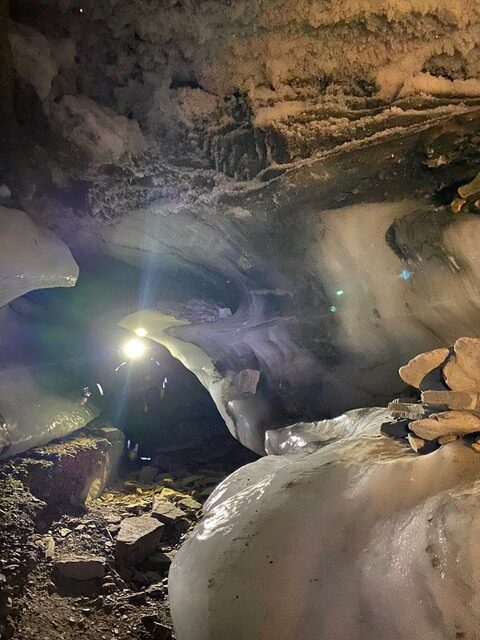 Aggie Frost Amselcom